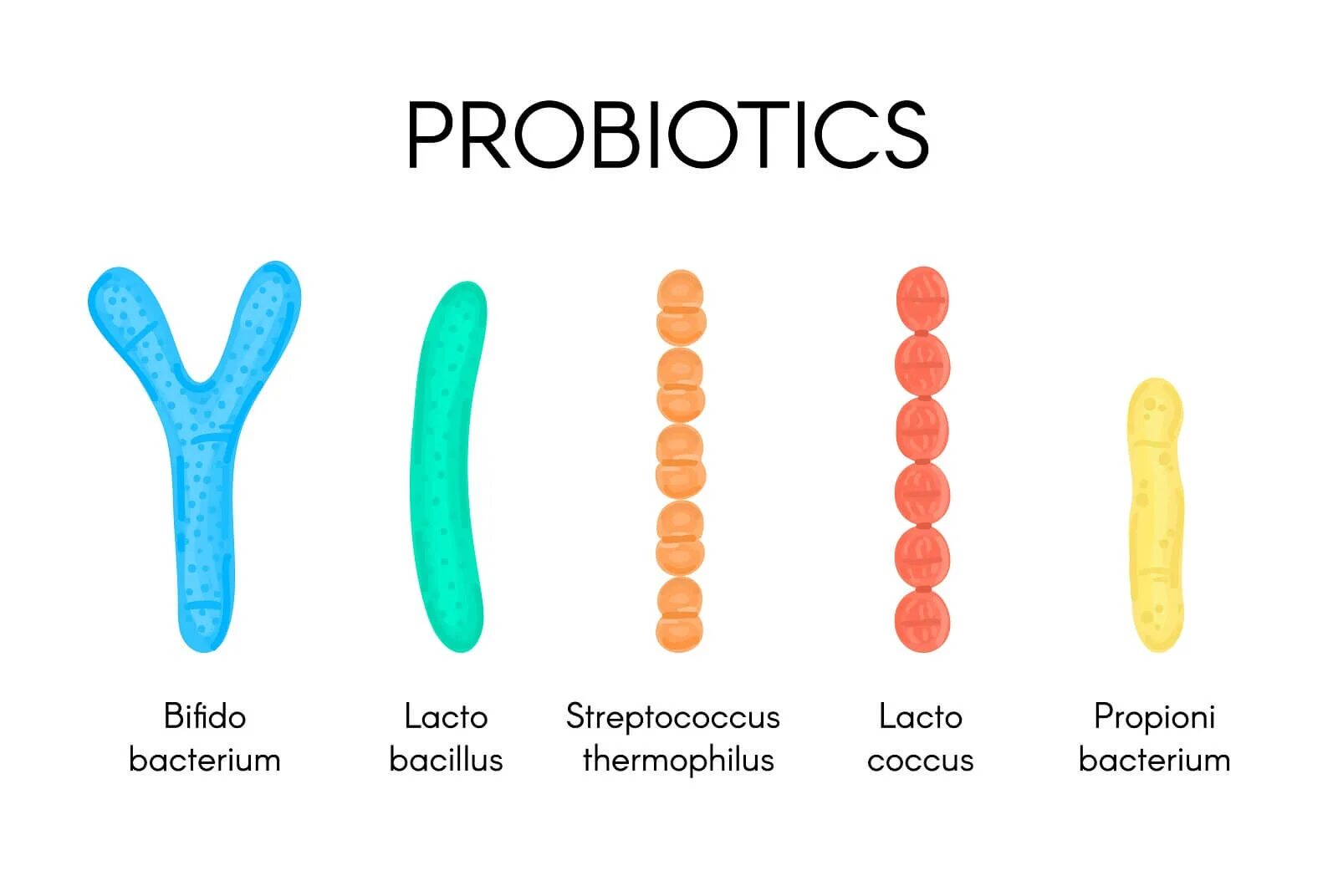 Тест на стрептококки в аптеке. Пробиотики лактобактерии и бифидобактерии. Streptococcus thermophilus пробиотик. Ацидофильные лактобактерии (Lactobacillus Acidophilus). Streptococcus thermophilus стрептококк термофильный.