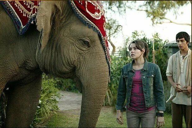 Слон и принцесса 2008. Принцесса Элефант.