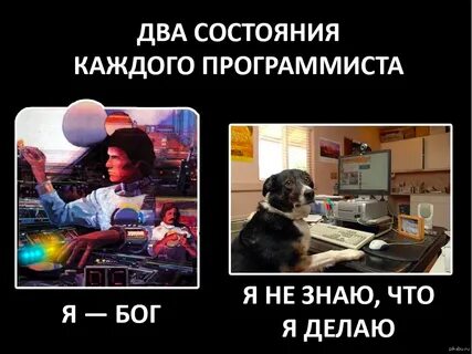 Программа которая ничего не делает