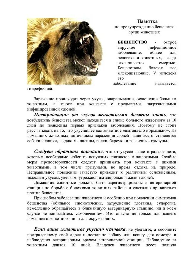 Специфическая профилактика бешенства. Памятка бешенство роспотребнадзор. Бешенство памятка. Мероприятия по профилактике бешенства. Профилактика бешенства безусловная.