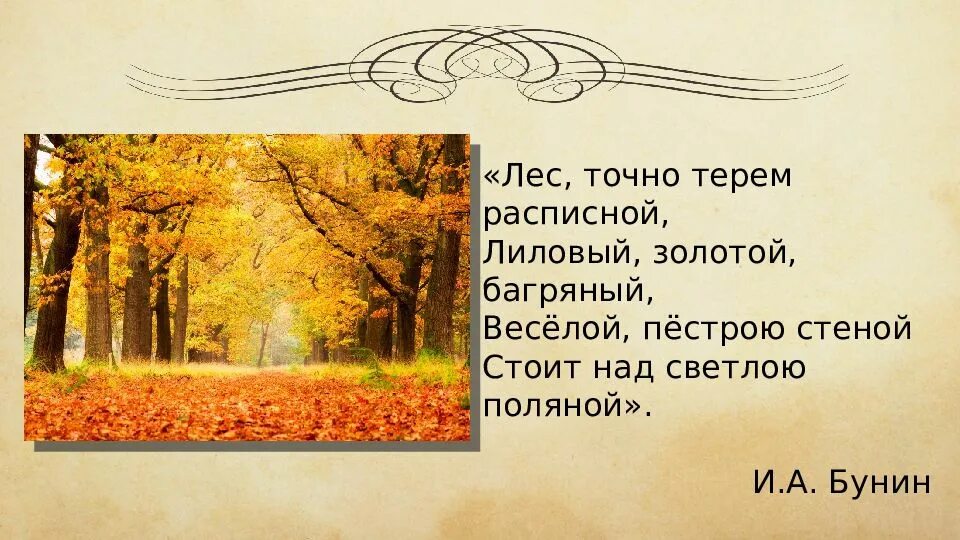 Бунин лес багряный золотой. Стоит стеною золотой. Стих про пшеницу. Иван бунин лес точно терем. Стоит стеною золотой.