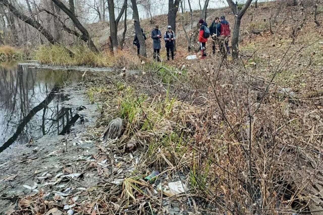 Вода в реке сура. Река Пенза экология. Загрязнение Пензы. Завод сбрасывает отходы в реку.