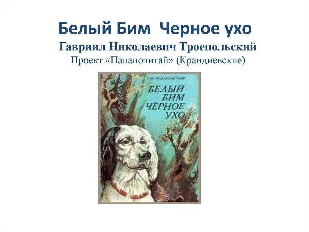 Белый бим черное ухо кратко по главам. Основная мысль произведения белый Бим черное ухо. Троепольский белый Бим черное ухо иллюстрации.