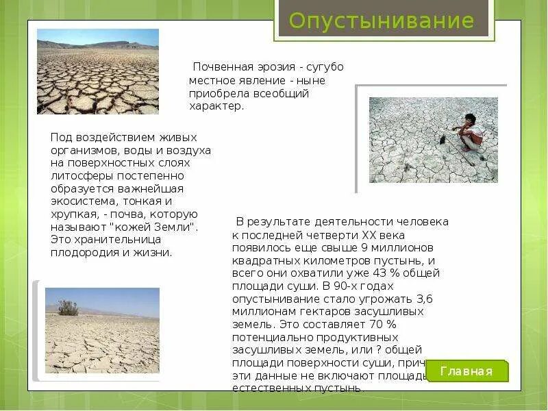 Опустынивание способы решения проблемы. Всемирный день с опустыниванием и засухой. 17 июня всемирный день борьбы с опустыниванием и засухой. 17 июня день борьбы с опустыниванием и засухой. Способы борьбы с опустыниванием.