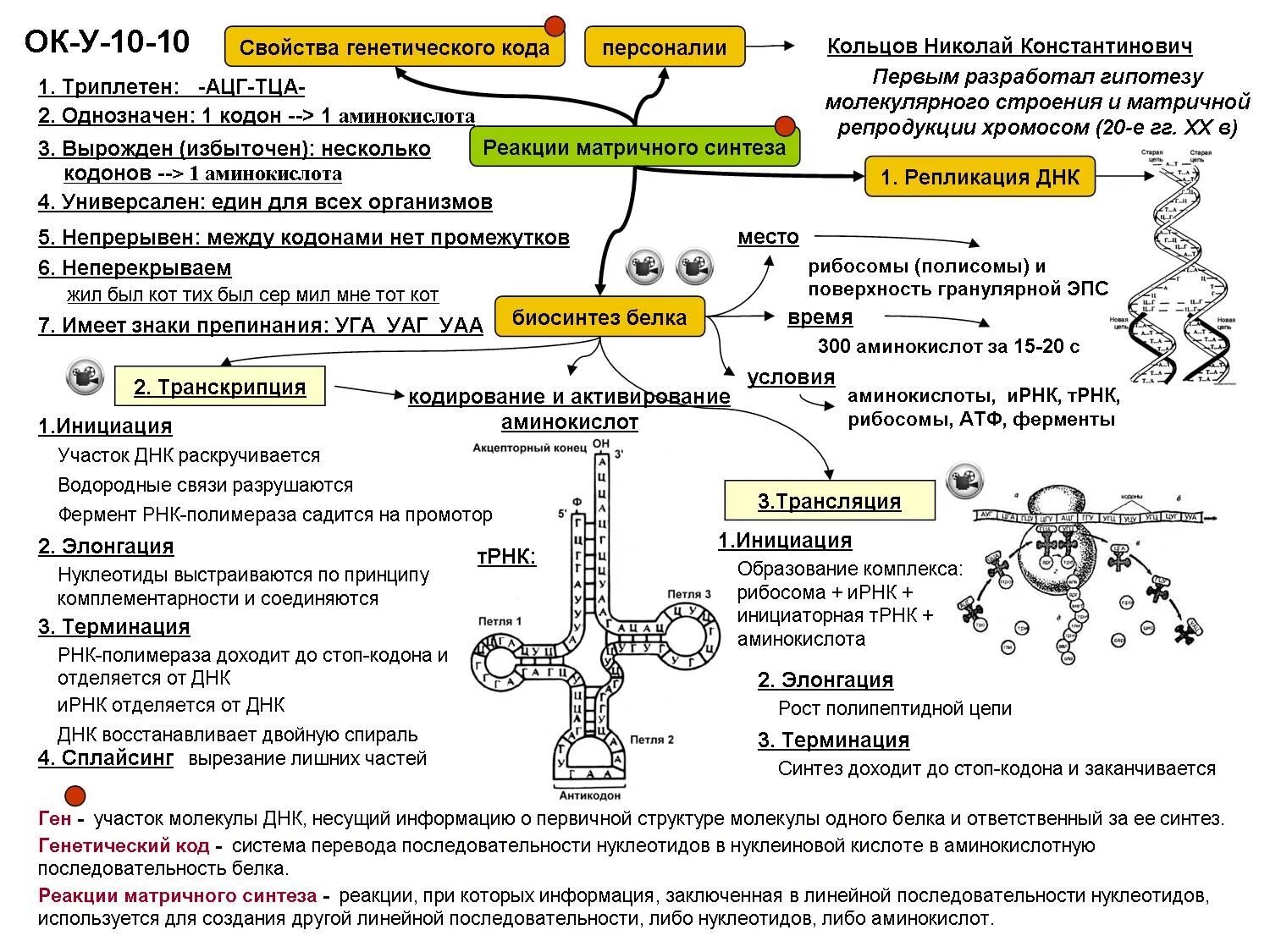 Трансляция какой уровень