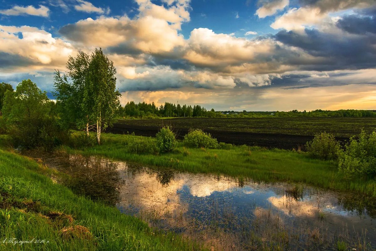 Природа тамбовского края. Природа родного края тамбов. Разнообразие природы тамбовского края. Край тамбовский край родной. Река вяжля тамбовская область.