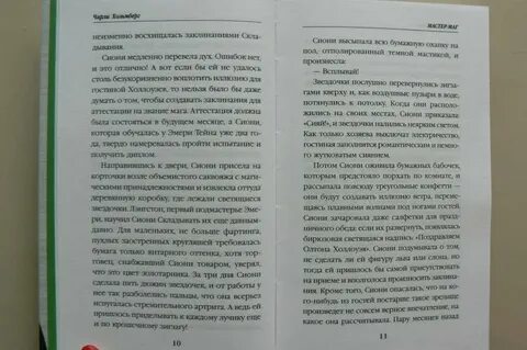 Читать книгу мастер