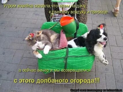 Не ездишь на дачу