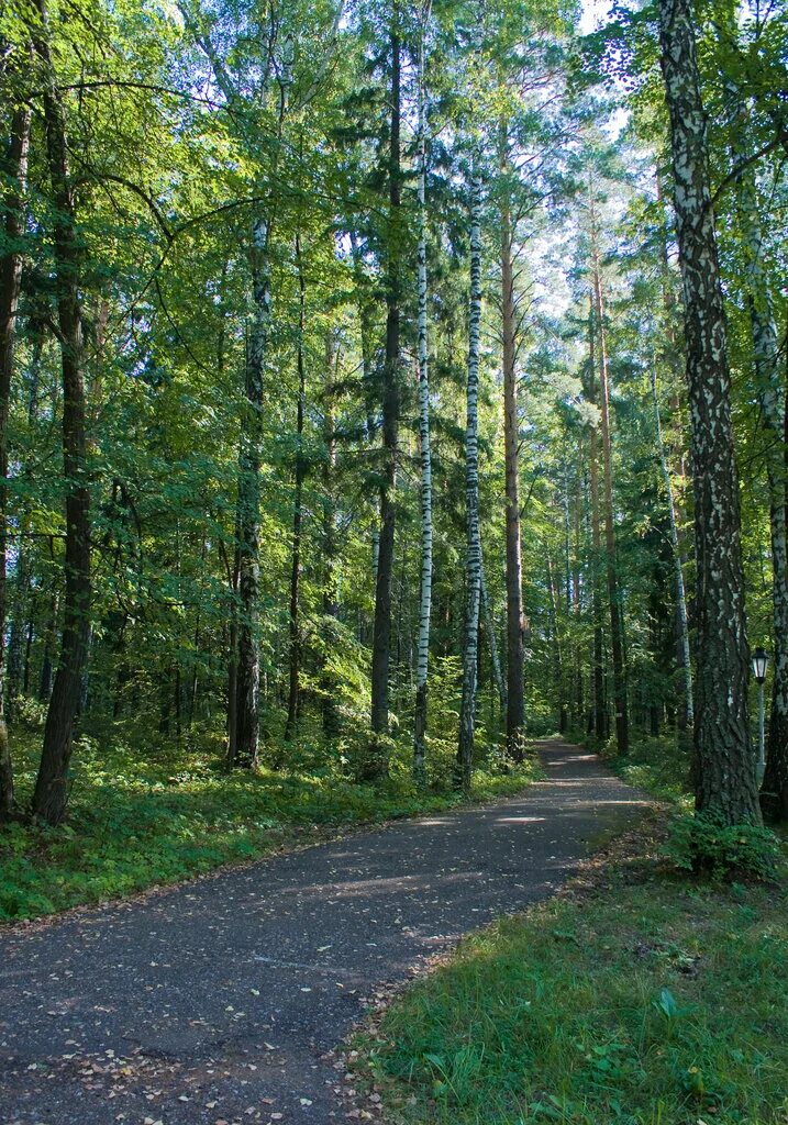санаторий профилакторий хазино. санаторий хазино нефтекамск. хазино башнефть сервис село куяново. хазино башкортостан. санаторий хазино нефтекамск.