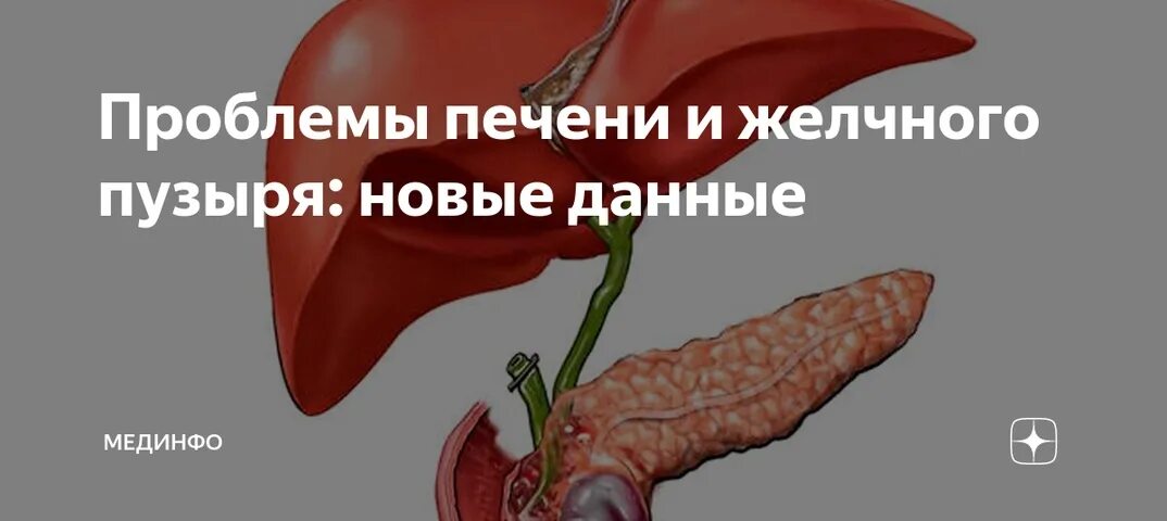 Печень после удаления желчного. Поражение желчного пузыря. нарушение печени и желчном пузыре. печень и желчный пузырь. болезни печени и желчного пузыря.