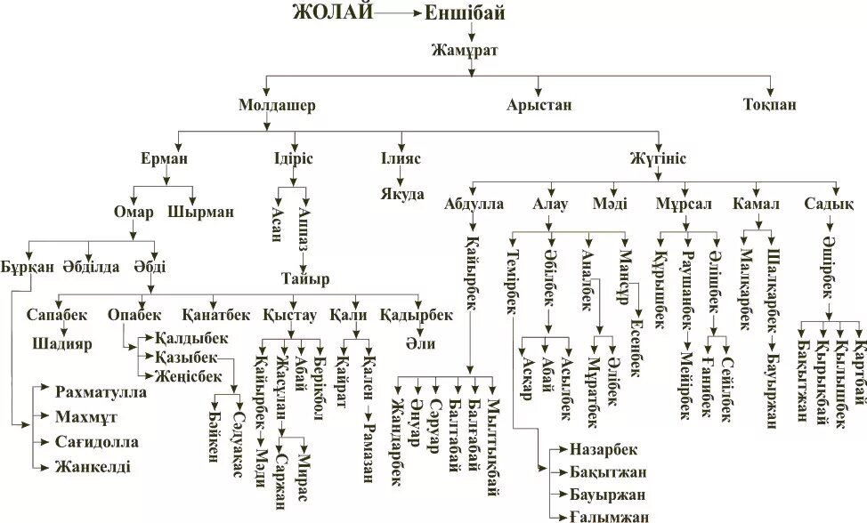 Родословная казахов младшего жуза. Род Керей Древо. Кипчаки родословная. Род Аргын Древо. Кіші жүз ханы