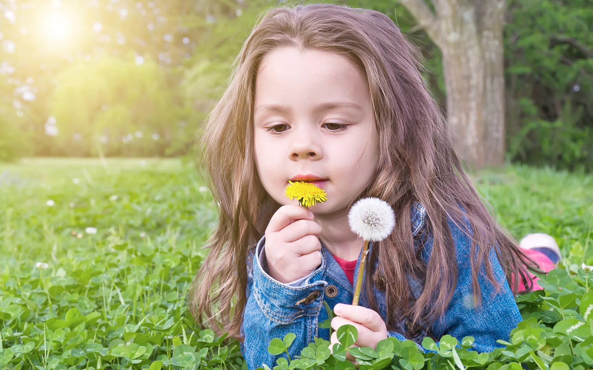 Children pic. Девушка с одуванчиком. Девочка дует на одуванчик. Дети с цветами. Дуть на одуванчик.