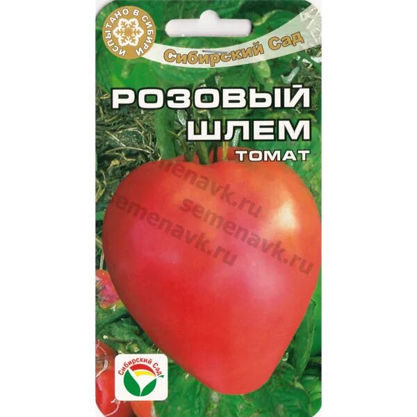 Томат розовый шлем. Помидоры розовый шлем. Томат шлем. Сорт томата розовый шлем.