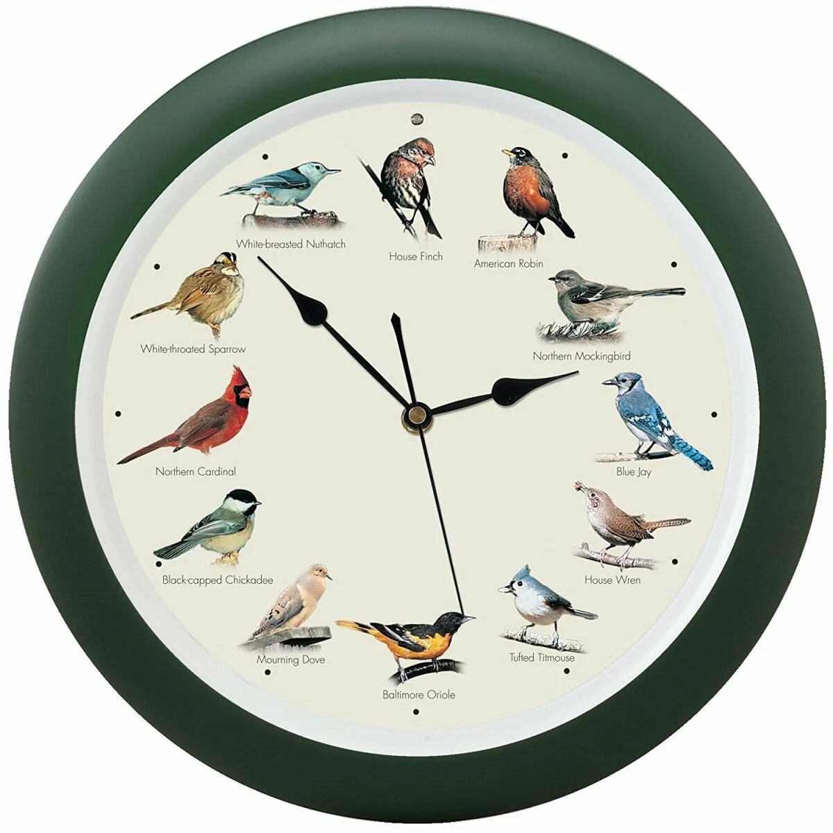 Часы "птицы". Часы настенные "птица". Птичьи часы. Часы с птичками настенные.