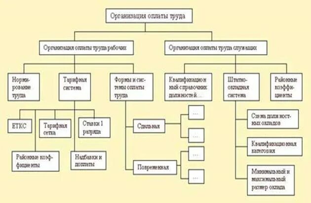 Отдел организации заработной платы. Структура отдела организации труда и заработной платы. Структура отдела организации труда и заработной платы на предприятии. Структура подразделения оплаты труда на предприятии. Схема учета заработной платы.