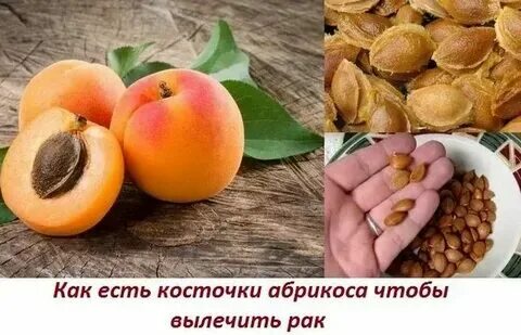 Свойство абрикосов