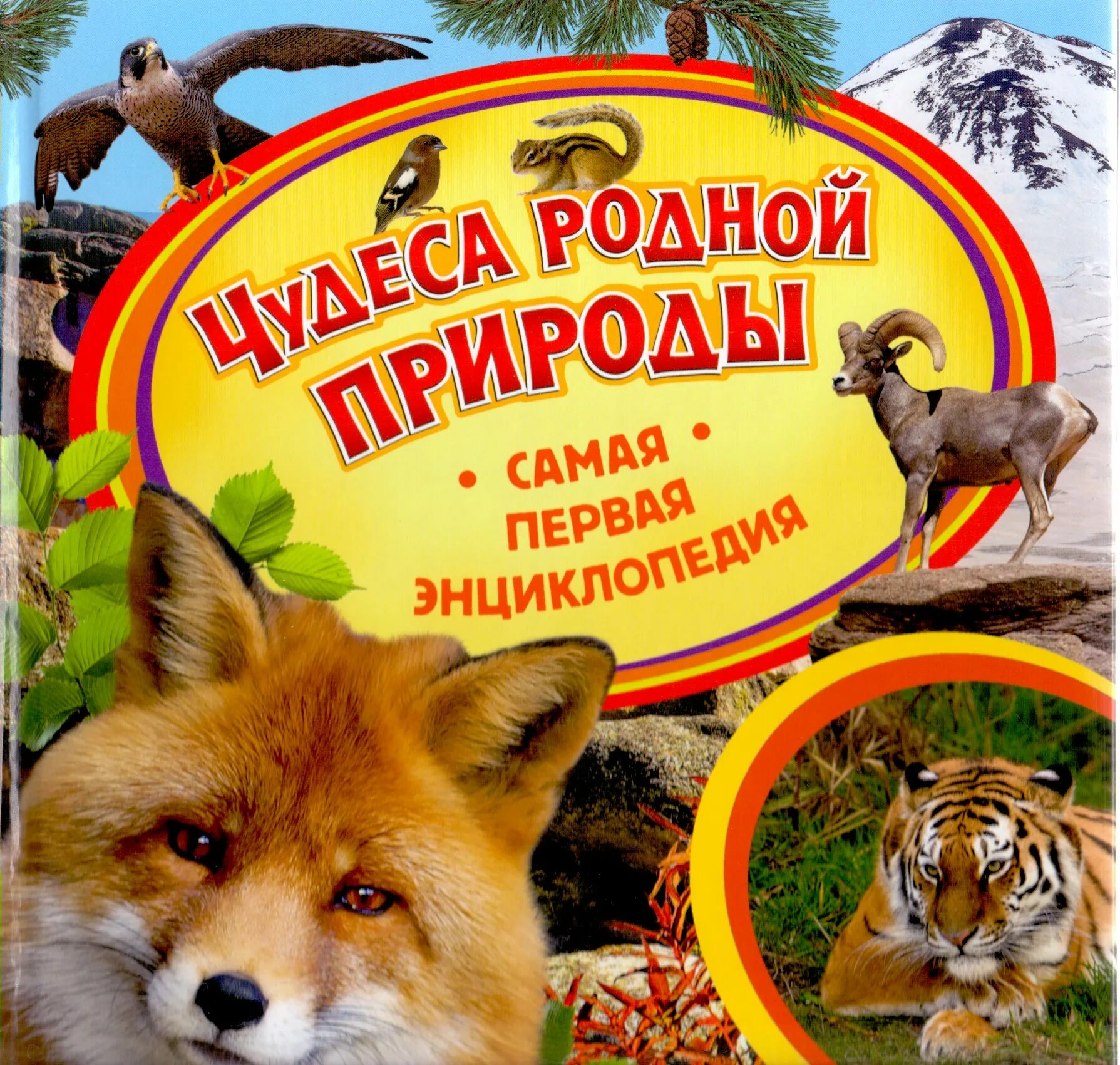 Научно популярные литературные произведения о живой природе. Энциклопедия о природе для детей. Книга природа. Обложка книги о природе. Чудеса родной природы энциклопедия.