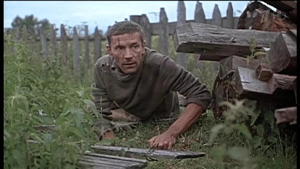 Включи лето 53. Анатолий папанов холодное лето 53. приемыхов холодное лето 53. валерий приемыхов холодное лето 53. холодное лето пятьдесят третьего... фильм 1987.