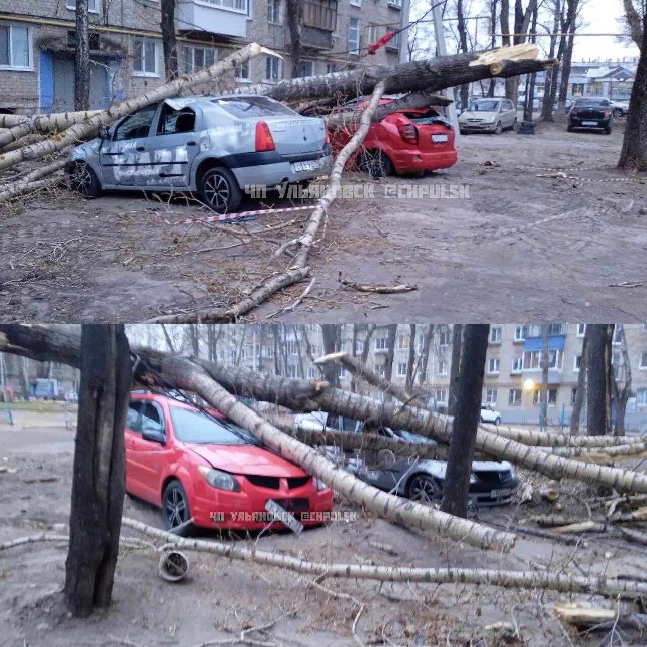 Погуляем ульяновск. Упавшее дерево. Поваленное дерево. Ураган в Ульяновске. На машин повалило дерево.