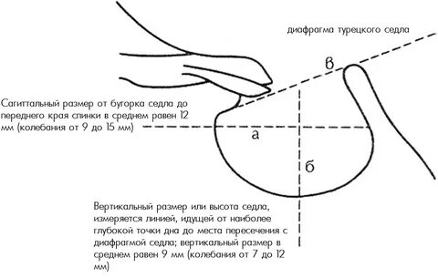 Диаметр седла