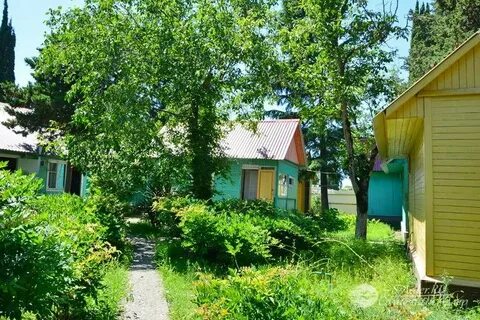 Отдых совхоз