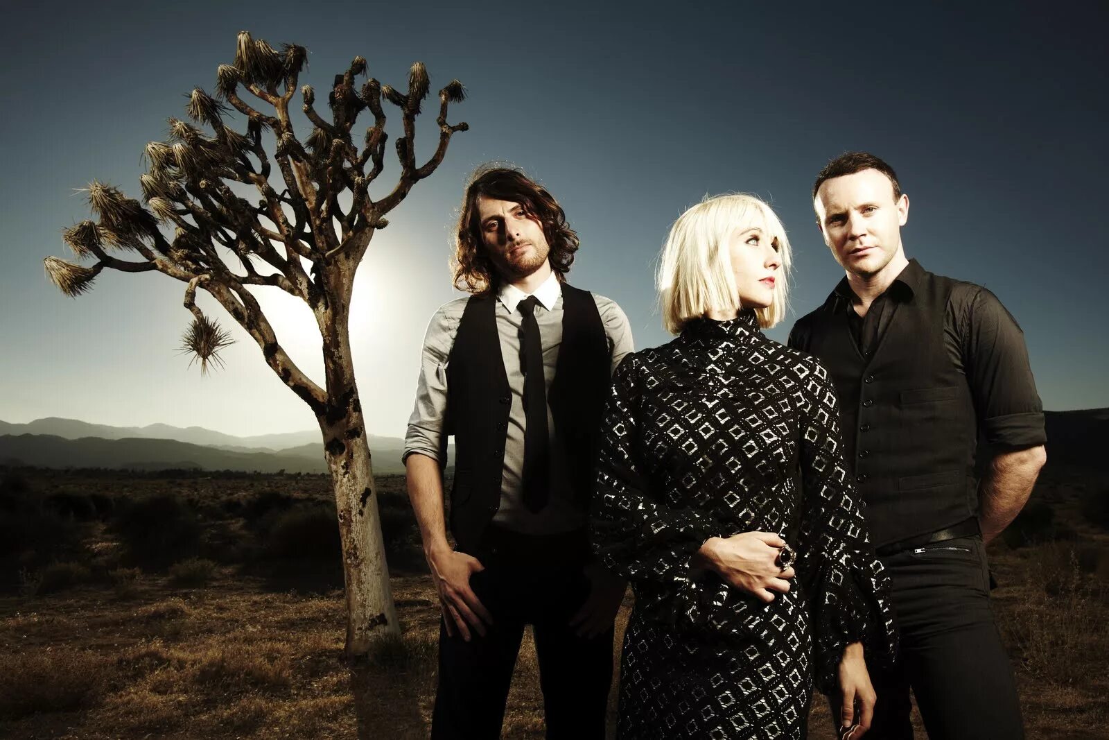 Включи formidable. Группа the joy formidable. joy. joy фото. the joy project (группа).