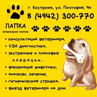 Ветеринарная кострома