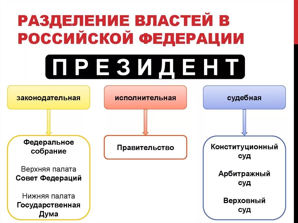 1 из ветвей власти в демократическом государстве