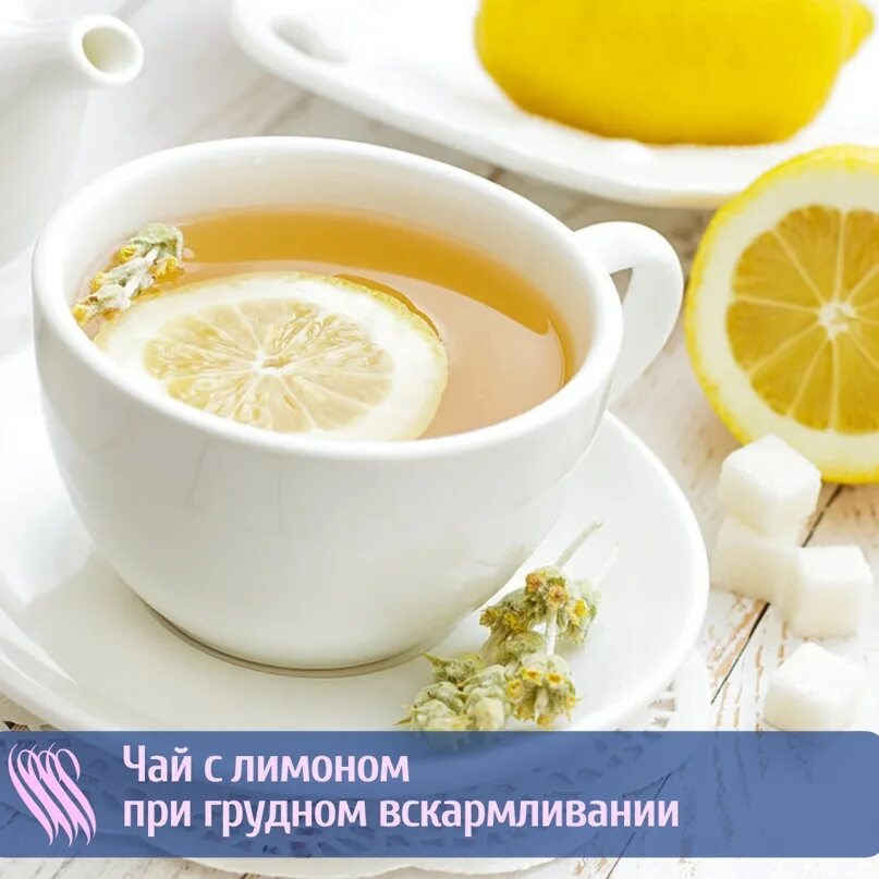Кормление ребенка. Можно чай с лимоном при грудном вскармливании. Можно ли газировку при грудном вскармливании. Можно ли чай с лимоном при грудном вскармливании. Кормящая женщина.