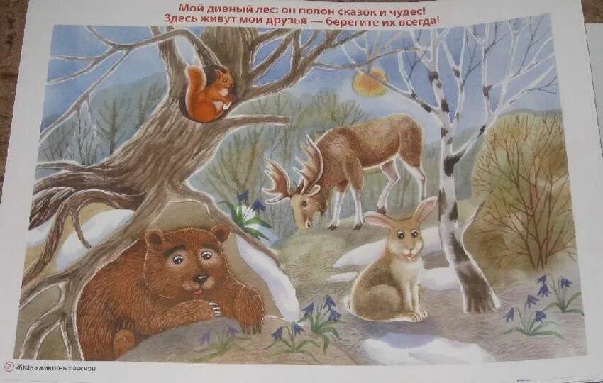 Планирование жизнь животных весной. Животный мир весной для дошкольников. животные весной в лесу для детей. весенний лес для детей в детском саду. картина дикие животные в лесу весной.