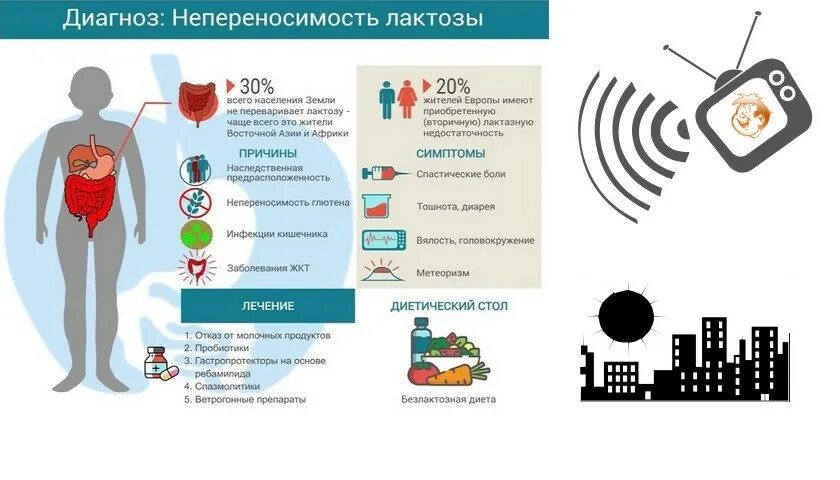 Как проявляется непереносимость лактозы у взрослых симптомы. Непереносимость лактозы по странам. непереносимость лактозы карта мира. у скольких людей непереносимость лактозы. непереносимость лактозы и армия.