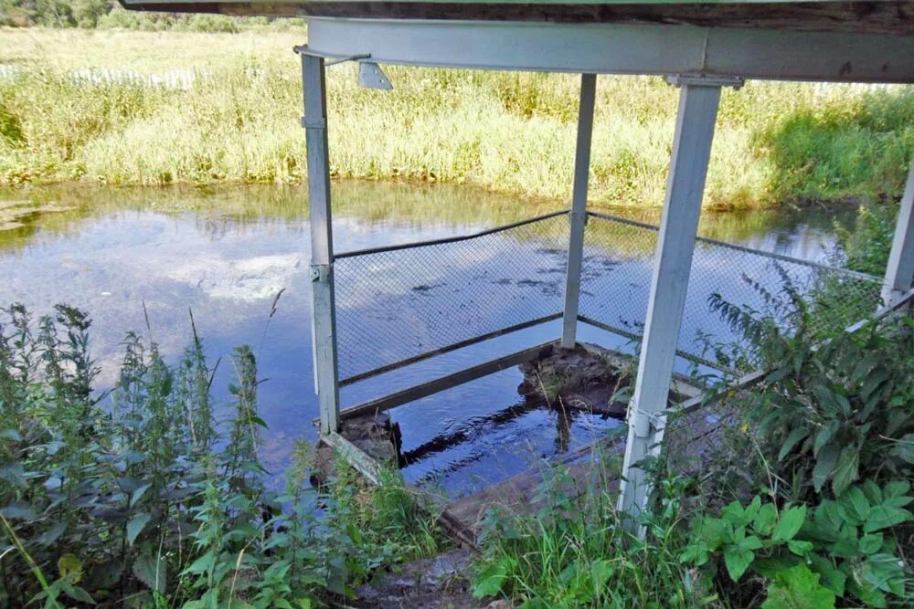 Петропавловский Родник Октябрьский район Пермский край. Село Петропавловск Пермский край Октябрьский район. Родник с. Октябрьское. Петропавловский источник.