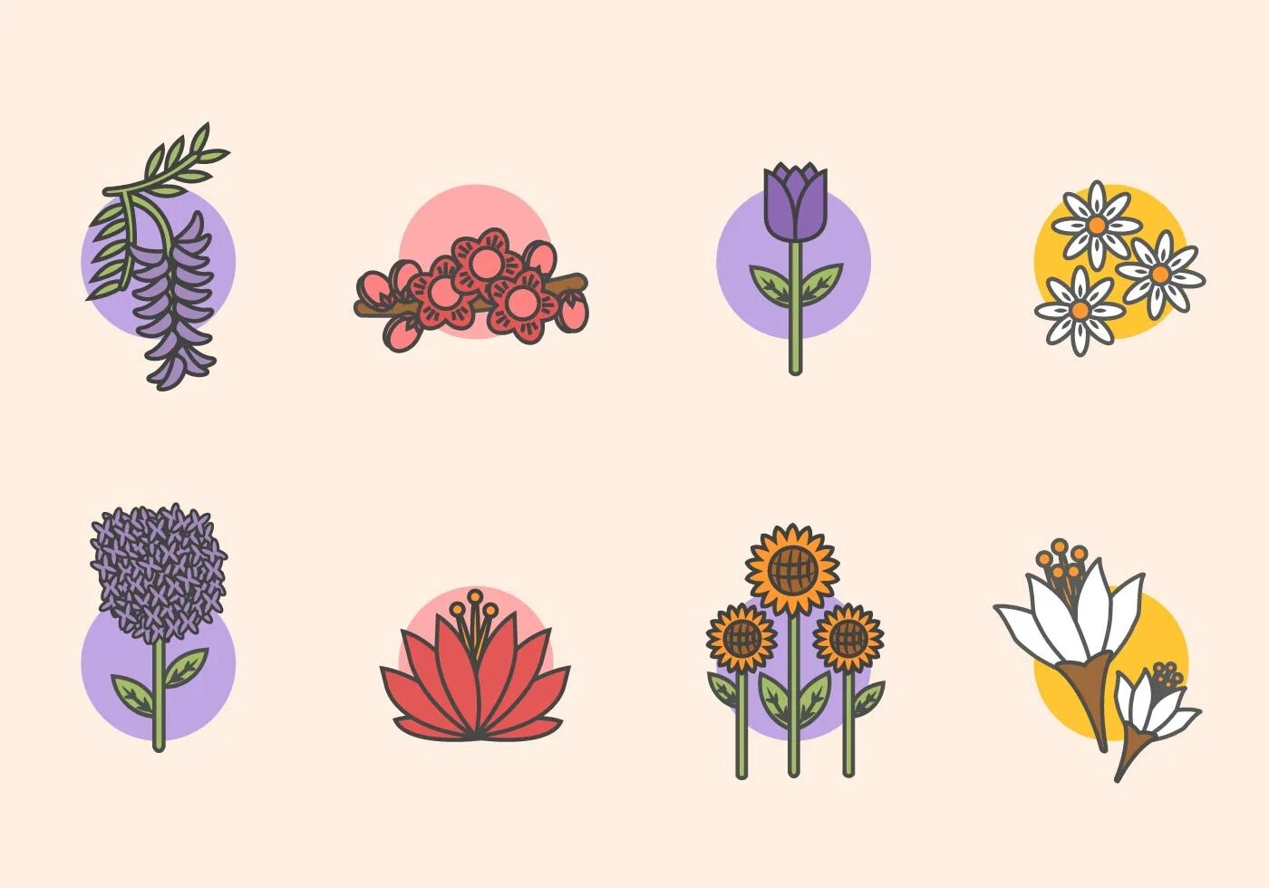 Flat flower. Цветы flat. растения в стиле флэт. цветы flat design. иллюстрации в стиле флэт цветы.