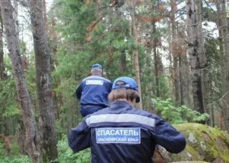 Сторожа в лес
