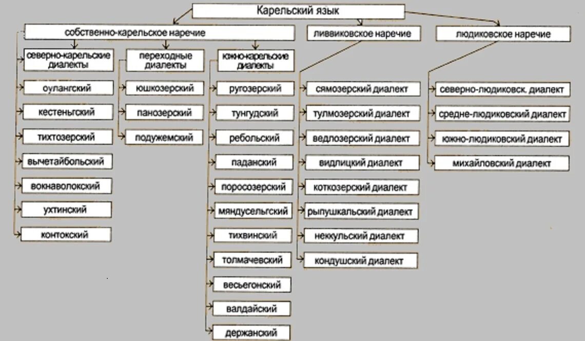 Язык диалект наречие. Диалекты карельского языка. Наречия карельского языка. Диалектизмы Карелии. Карелы язык.