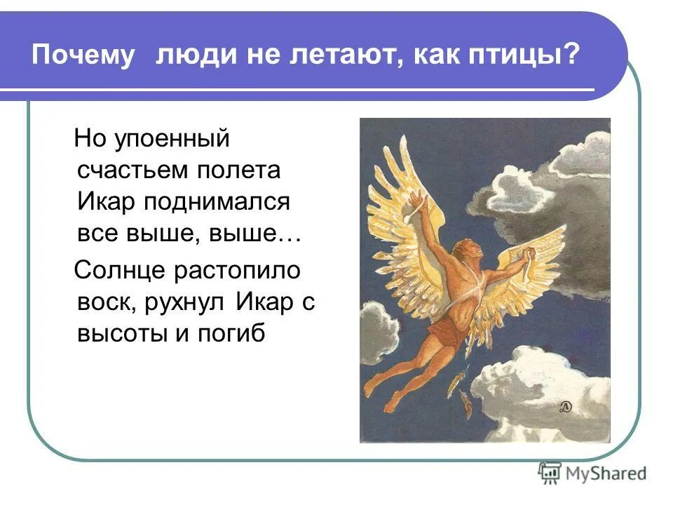 Почему летит птица