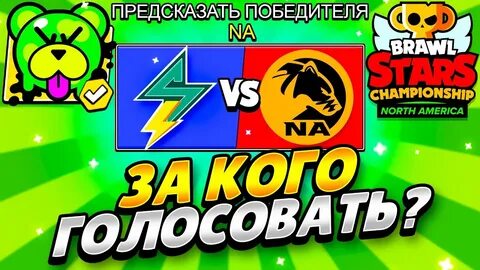 Голосовать чемпионат браво