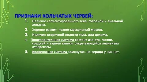 Какие общие признаки червей