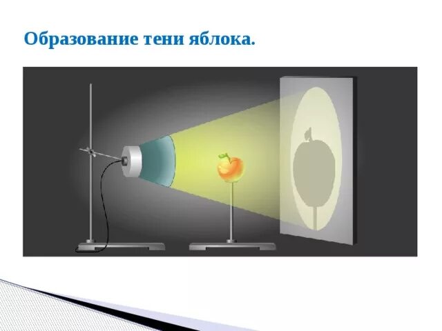 Презентация на тему тень. Опыты с тенью. Естествознание 4 класс можно ли изменить тень. Образование тени и полутени. 4 класс естествознание можно ли изменить тень.