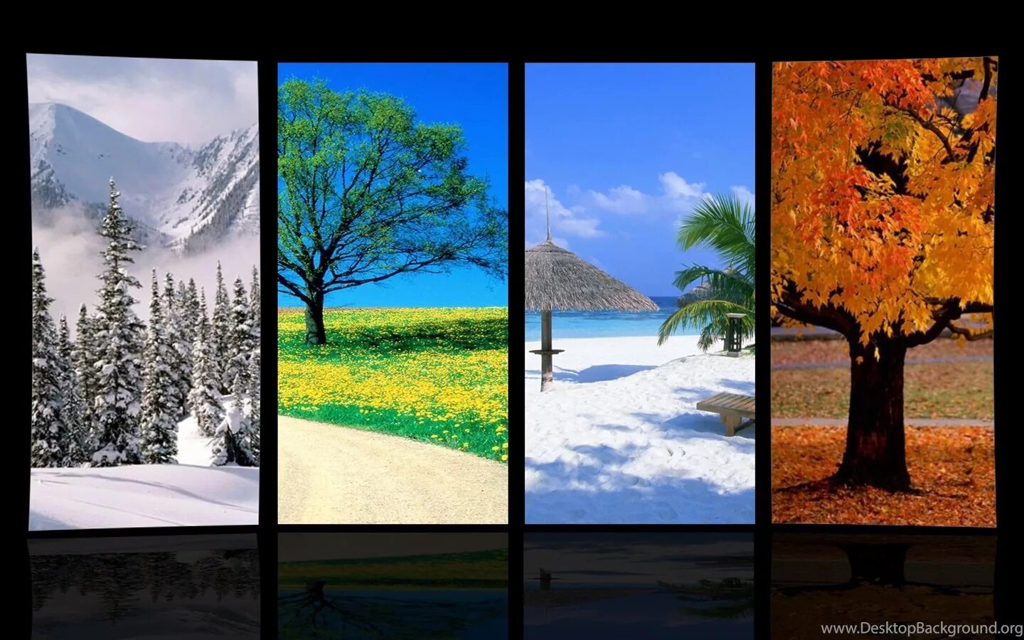 Ссылки на времена года. Пейзаж времена года. Зима,Весна,лето,осень. Пейзаж в Разное время года. Пейзажи всех времен года.