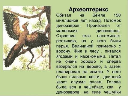 Древние животные и растения были очень