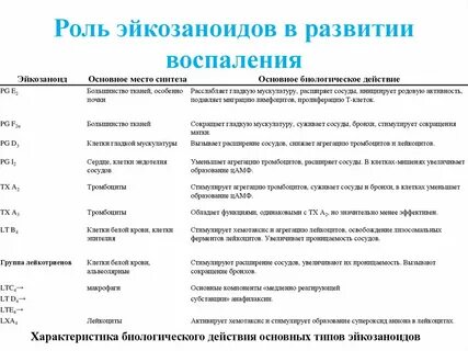 Ключевую роль в развитии