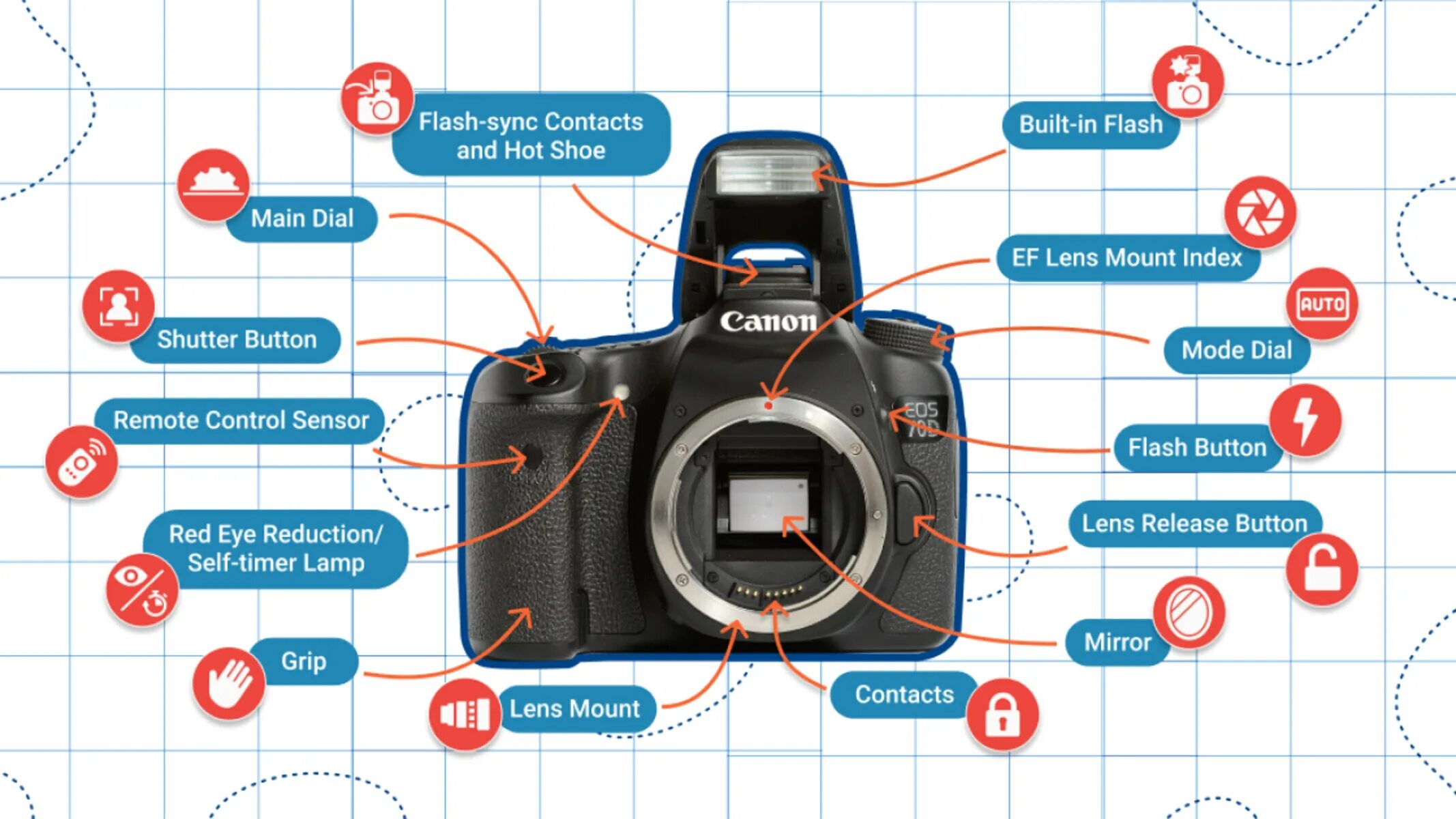 Подобрать слова камера. Анатомия фотоаппарата. Camera Parts. Parts of Digital Camera. DSLR расшифровка.