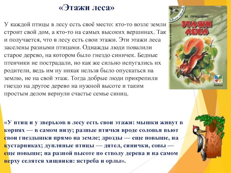 Этажи леса пришвин иллюстрации. Рассказ м пришвина этажи леса. Рассказ этажи леса пришвин. Рассказ м пришвина этажи леса. Этажи леса пришвин.