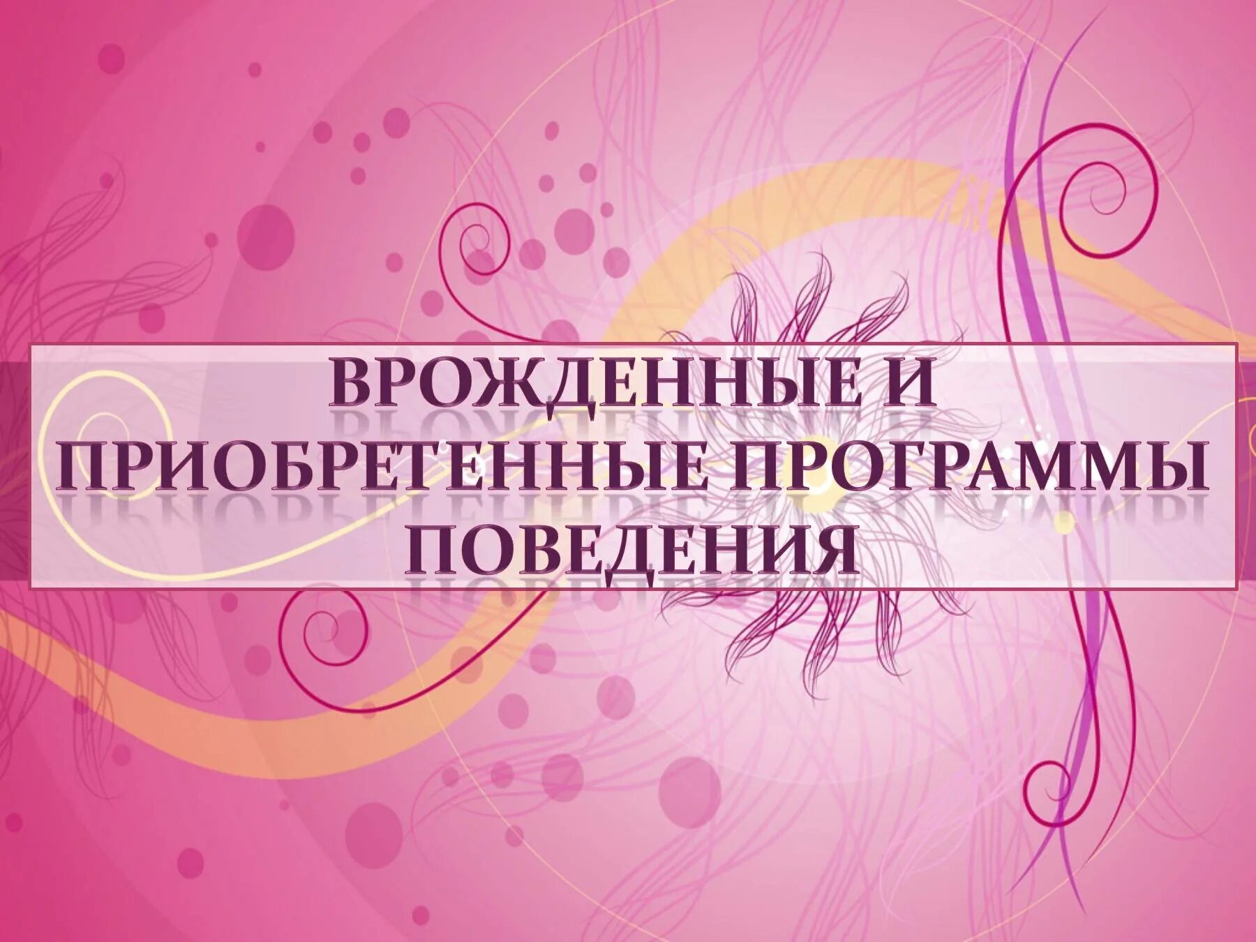 Врожденное и приобретенное поведение 8 класс презентация. Врожденные программы поведения. Приобретенные программы поведения. Врожденные и приобретенные программы. Врождённые и приобретённые программы поведения человека.