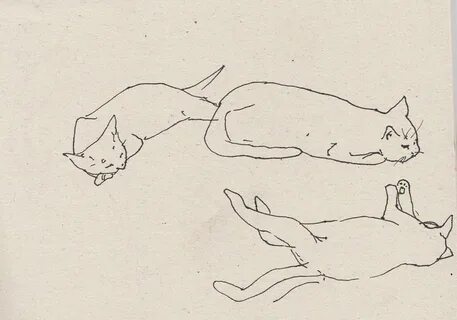 Как нарисовать лежащую кошку
