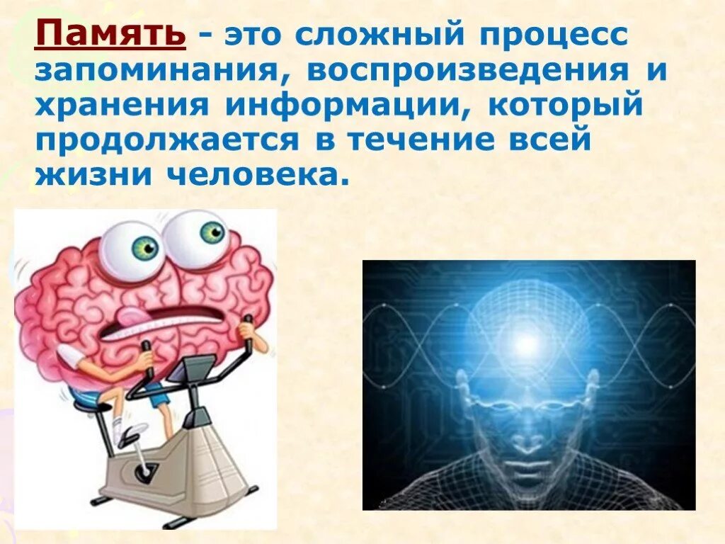 Информация память внимание. Память человека. Память презентация. Память и внимание. Презентация на тему память человека.