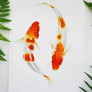 Золотые рыбки водоросли