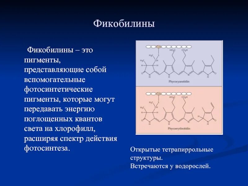 Строение пигментов. Пигменты фикобилины. Каротиноиды и фикобилины. Фикобилины строение. Фотосинтетические пигменты водорослей.