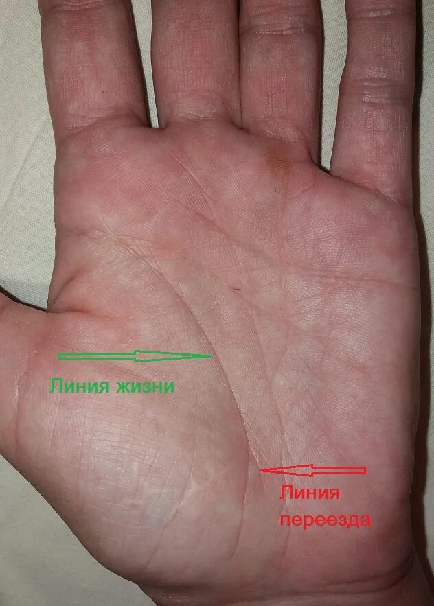 Линии на ладони. Линия эмиграции на ладони. Линия миграции. Лирия эммиграции на руке. Линии эмиграции на ладони хиромантия.